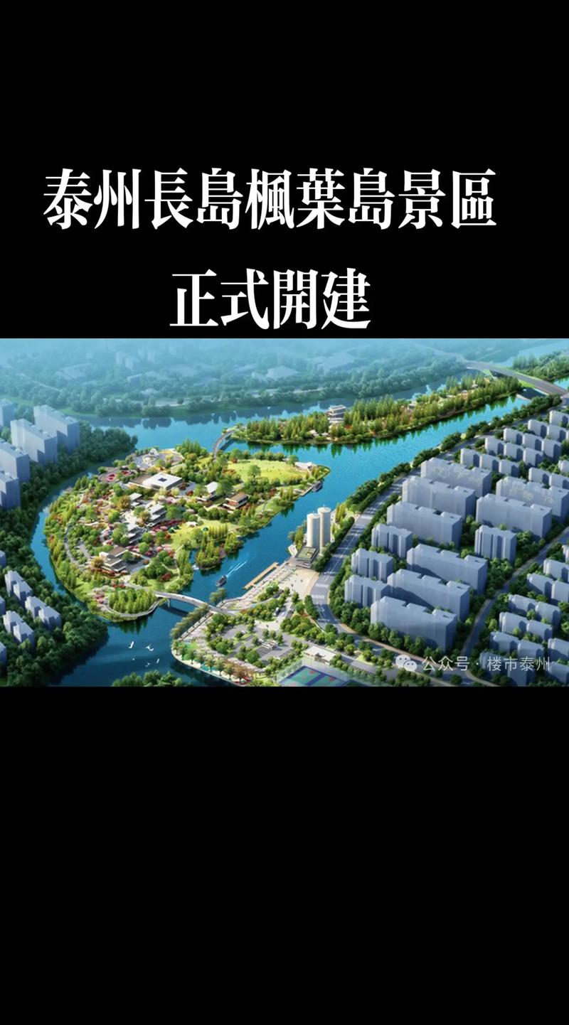 小程序时代：便捷生活背后的创新力量